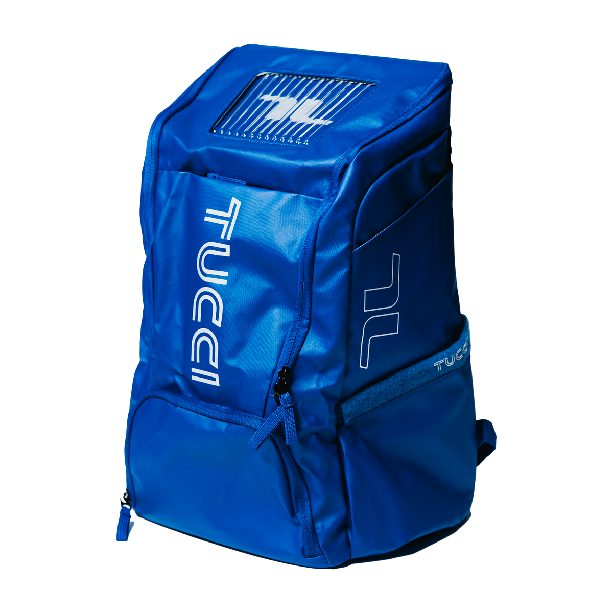 #color_true royal blue